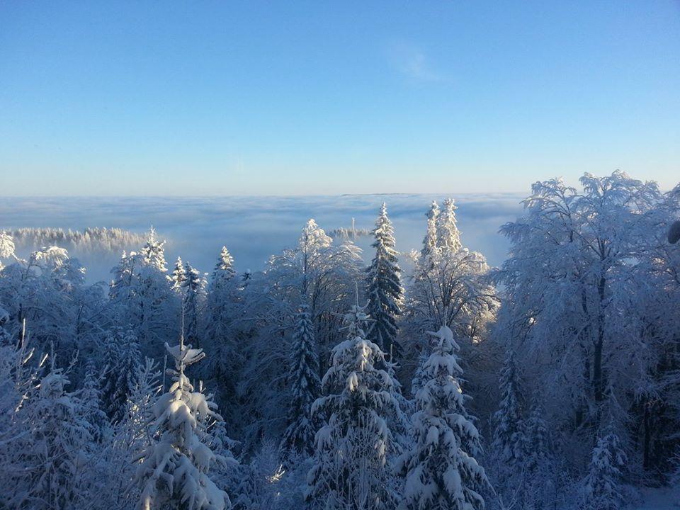 Chalet Baluma Maluba Jahorina Eksteriør billede